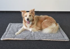 Flamingo Kussen Zupo Plat Rechthoekig - Beige - 40,5X25,5X2CM -Huisdier Uitgebreid Winkel kussen zupo plat rechthoekig beige 5 3 5