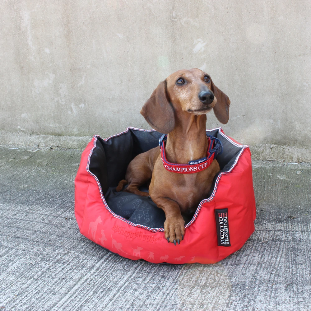 Mand Rond Dog Lifestyle - S - Rood, Zwart - Happy House - Afbeelding 2