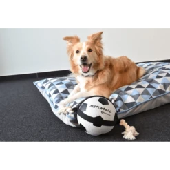 Flamingo Matchball Voetbal Met Touw - 22x22x52.2cm -Huisdier Uitgebreid Winkel matchball voetbal met touw 2