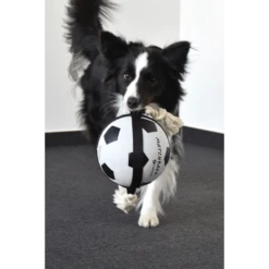 Flamingo Matchball Voetbal Met Touw - 20x20x50cm -Huisdier Uitgebreid Winkel matchball voetbal met touw 3 2