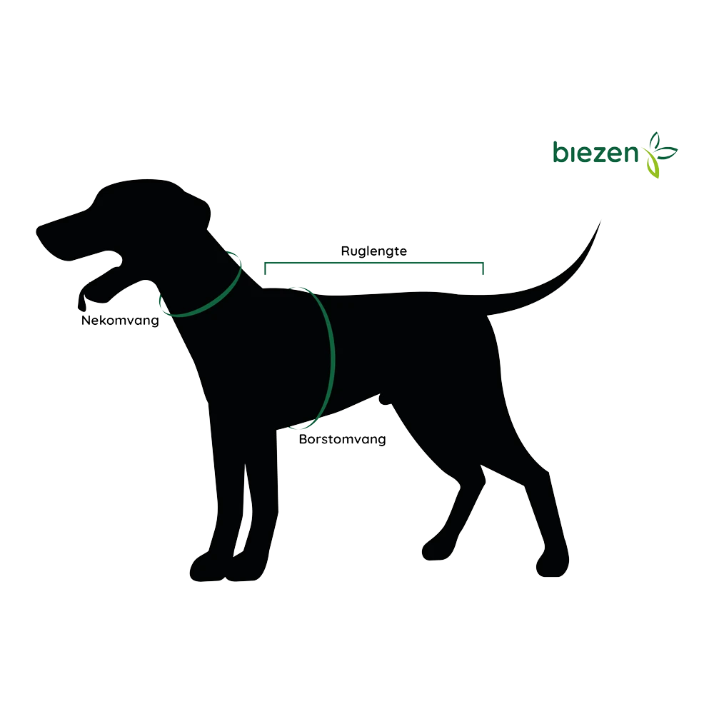 Flamingo Halsband Rondo KN Bruin - Leer - 45-52cm 30mm - Hondenhalsband 4 Flamingo Halsband Rondo KN Bruin - Leer - 45-52cm 30mm - Hondenhalsband - Afbeelding 2