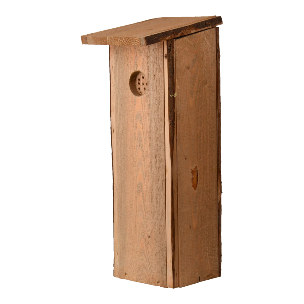 Nestkast Grote Bonte Specht 3 Nestkast Grote Bonte Specht