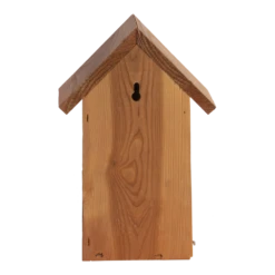 Nestkast Pimpelmees Douglas Hout -Huisdier Uitgebreid Winkel nestkast pimpelmees douglas hout best for birds 3 1