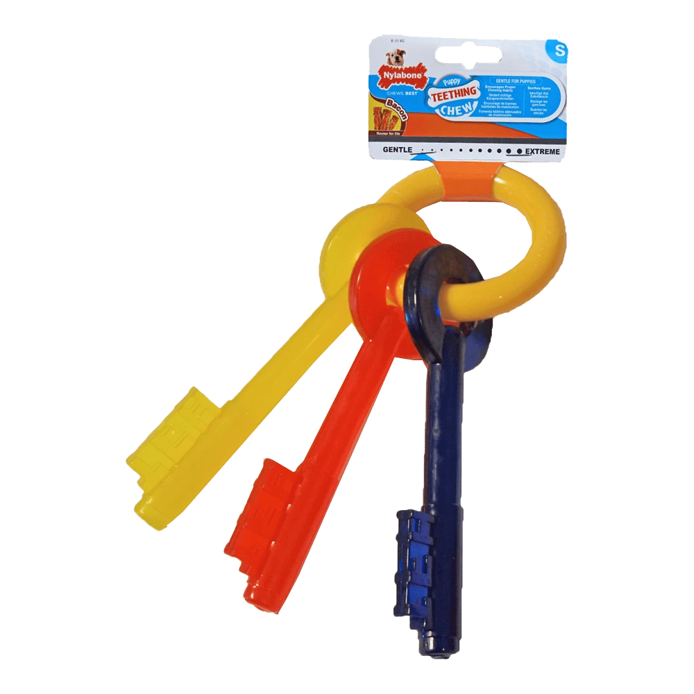 Nylabone Puppy Duurzame Bijtsleutels - S 4 Nylabone Puppy Duurzame Bijtsleutels - S - Afbeelding 2