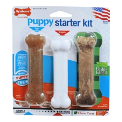 Nylabone Puppy Starter Kit