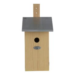 Observatienestkast 7 Observatienestkast -Huisdier Uitgebreid Winkel observatienestkast best for birds 3 1