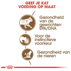 ROYAL CANINu00ae Ageing 12+ In Gravy - Senior - Kattenvoer - 12x85g 11 ROYAL CANINu00ae Ageing 12+ In Gravy - Senior - Kattenvoer - 12x85g -Huisdier Uitgebreid Winkel royal canin ageing 12 in gravy senior kattenvoer 12x85g 5