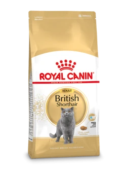 ROYAL CANINu00ae British Shorthair Adult - Volwassen Brits Korthaar - Kattenvoer - 2kg