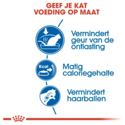 ROYAL CANINu00ae Indoor 27 - Volwassen - Kattenvoer - 2kg 7 ROYAL CANINu00ae Indoor 27 - Volwassen - Kattenvoer - 2kg -Huisdier Uitgebreid Winkel royal canin indoor 27 volwassen kattenvoer 2kg 3 1