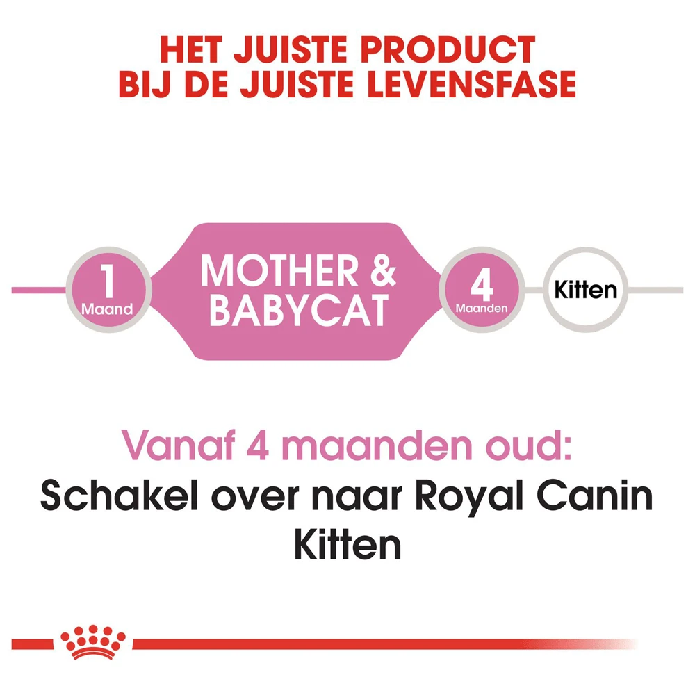 ROYAL CANINu00ae Mother & Babycat - Moederpoes En Kittens - Kattenvoer - 4kg 5 ROYAL CANINu00ae Mother & Babycat - Moederpoes En Kittens - Kattenvoer - 4kg - Afbeelding 3
