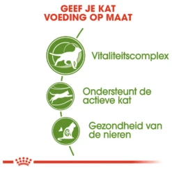 ROYAL CANINu00ae Outdoor 7+ - Volwassen - Kattenvoer - 4kg 8 ROYAL CANINu00ae Outdoor 7+ - Volwassen - Kattenvoer - 4kg -Huisdier Uitgebreid Winkel royal canin outdoor 7 volwassen kattenvoer 4kg 3 1