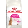 ROYAL CANINu00ae Protein Exigent - Volwassen - Kattenvoer - 2kg -Huisdier Uitgebreid Winkel royal canin protein exigent volwassen 2kg kattenvoer 1 1