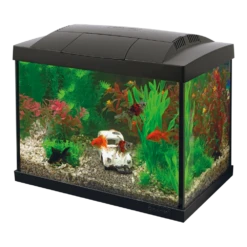 Superfish Aquarium Start 20 Goldfish Kit - Zwart