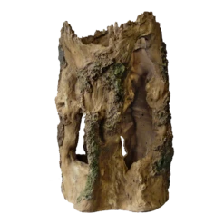 Superfish Tree Home L