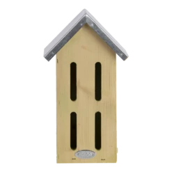 Vlinderkast -Huisdier Uitgebreid Winkel vlinderkast vlinders 3 1